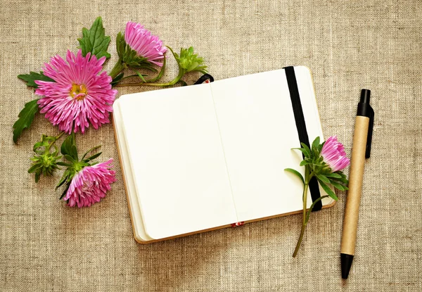 Cuaderno, pluma y astros — Foto de Stock