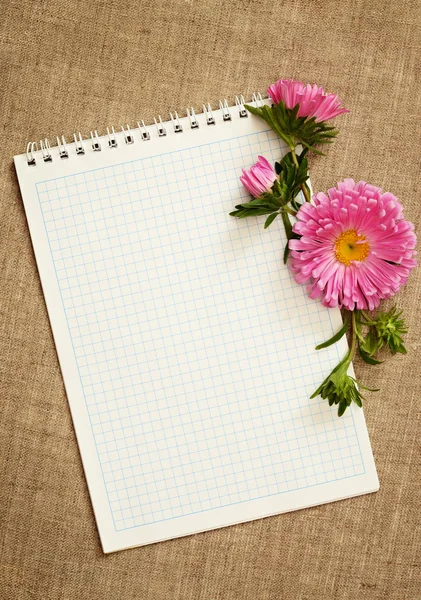 Notebook and asters — Stock Photo, Image