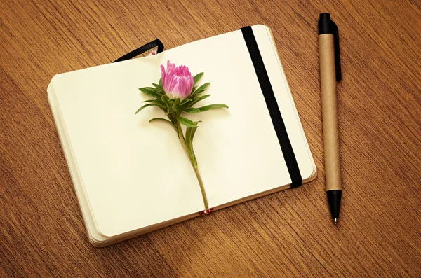 Aster bud on a notebook — Stock Photo, Image