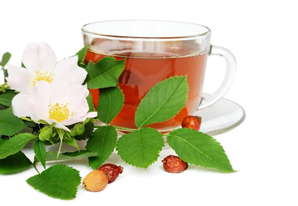 Divoká růže čaj s květy — Stock fotografie