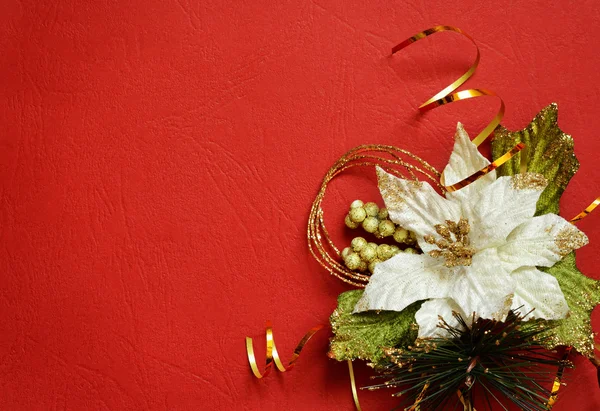 Červené pozadí s bílou pionsettia v rohu — Stock fotografie