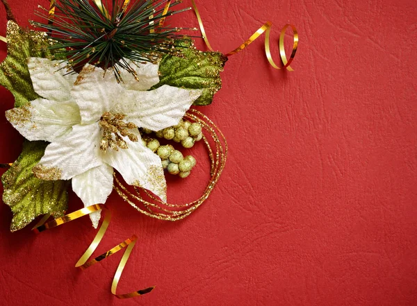 Fundo vermelho com pionsettia — Fotografia de Stock