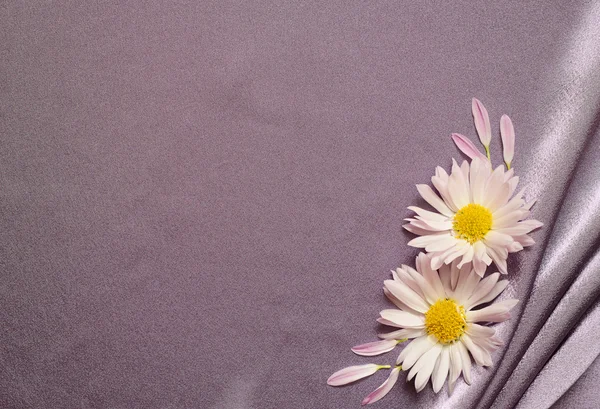 Tissu en soie avec des fleurs — Photo