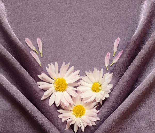 Satin fabric with daisies — Stock Photo, Image