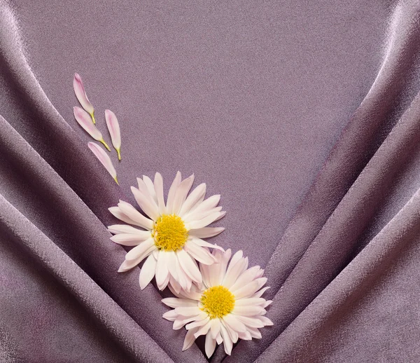 ヒナギクと紫色のサテンの生地 — ストック写真