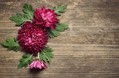 ahşap zemin üzerinde mor Aster