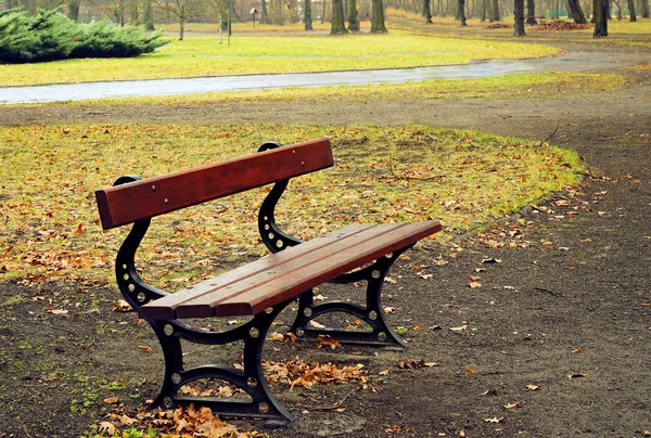 Empty bench in a raining day — Stock Photo, Image