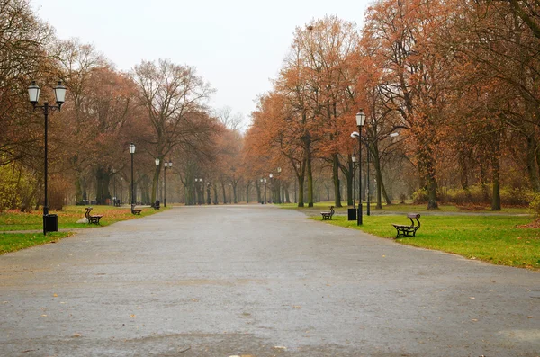 Міський парк в дощовий день — стокове фото