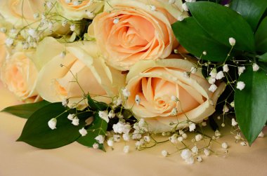 Gül şeftali arka plan üzerinde