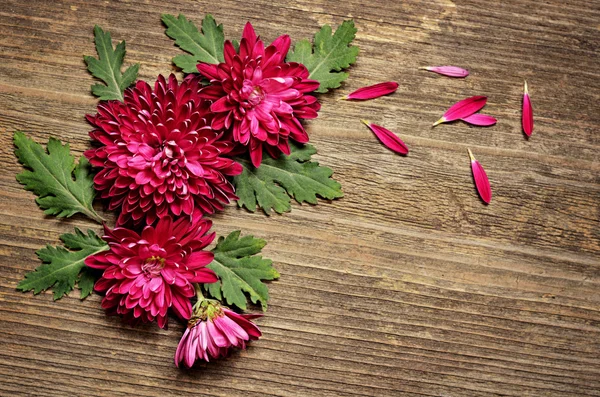 Arrangement asters violet sur fond en bois — Photo