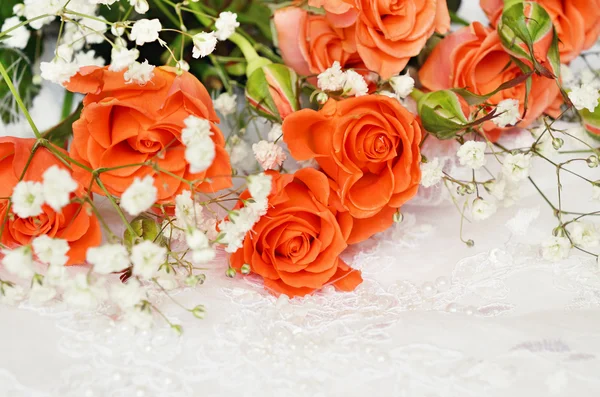 Rosas anaranjadas sobre blanco — Foto de Stock