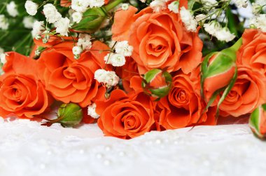 Beyaz arka planda turuncu gül