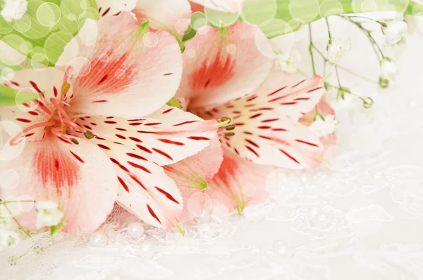 Rosa blommor för bröllop — Stockfoto
