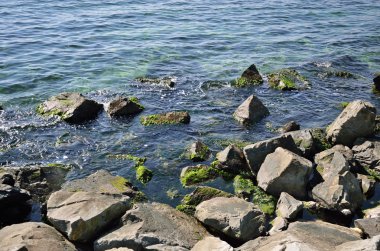 Deniz kıyısındaki taşlar