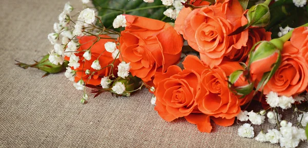 Bunga mawar oranye pada latar belakang kanvas — Stok Foto