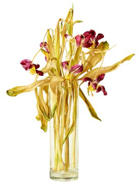 Wilted tulips in vase clipart