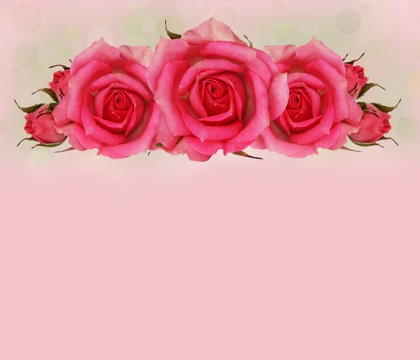 Σύνθεση ροζ τριαντάφυλλο λουλούδια — Φωτογραφία Αρχείου