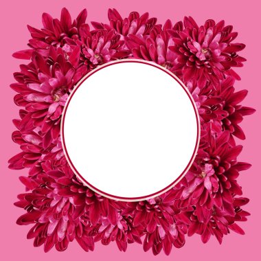 aster çiçekli çerçeve