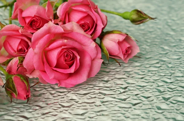 Rosa Rosenblüten auf Glas — Stockfoto
