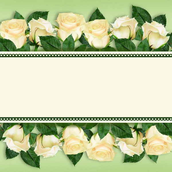 Roseira flores bordas — Fotografia de Stock