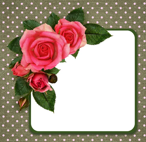 Квіти троянд композиція і рамка — стокове фото