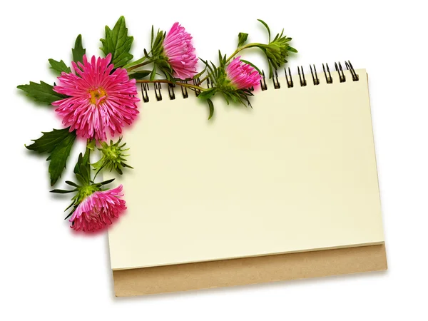 Caderno e flores aster — Fotografia de Stock