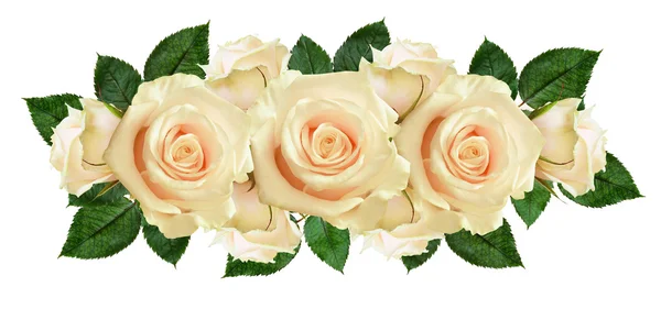 Ruusun kukat järjestely — kuvapankkivalokuva
