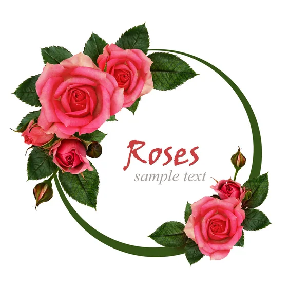 Roze bloemen samenstelling en frame — Stockfoto