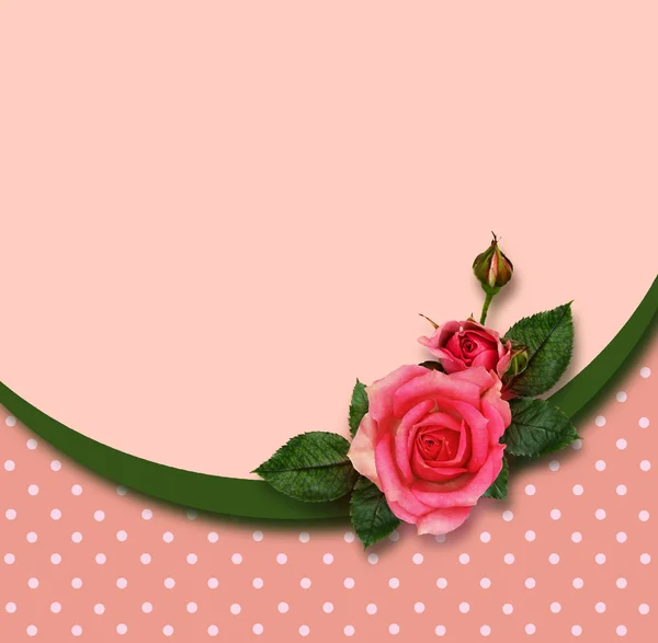 Состав цветов роз и праздничная рамка — стоковое фото