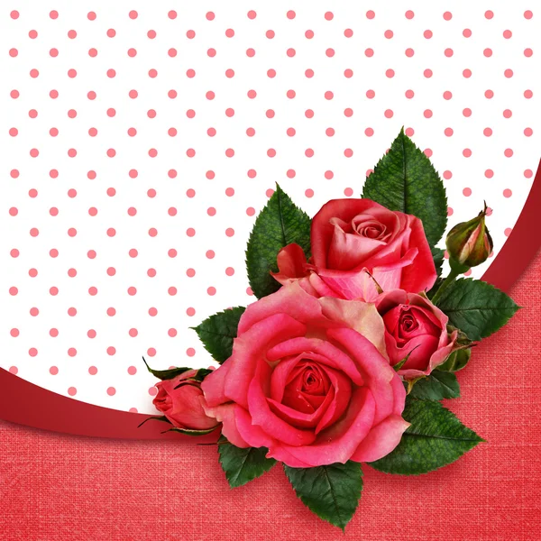 Composizione di fiori di rosa rosa — Stockfoto