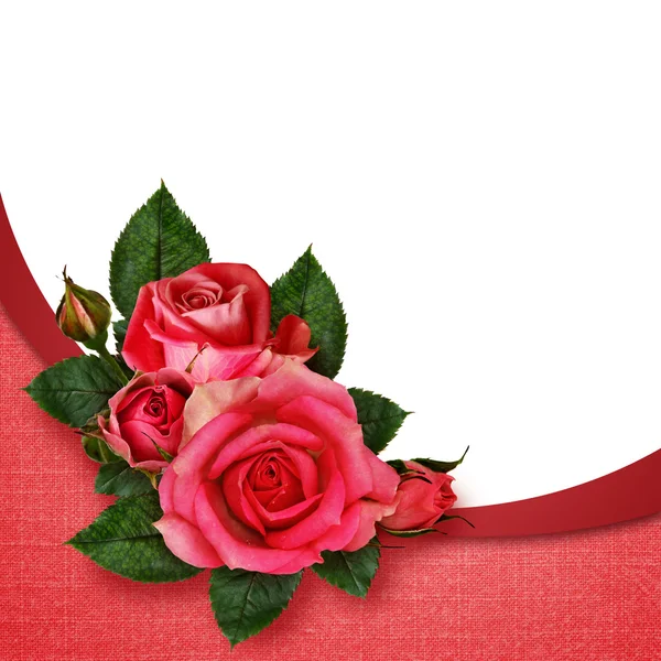 Zusammensetzung rosa Rosenblüten — Stockfoto