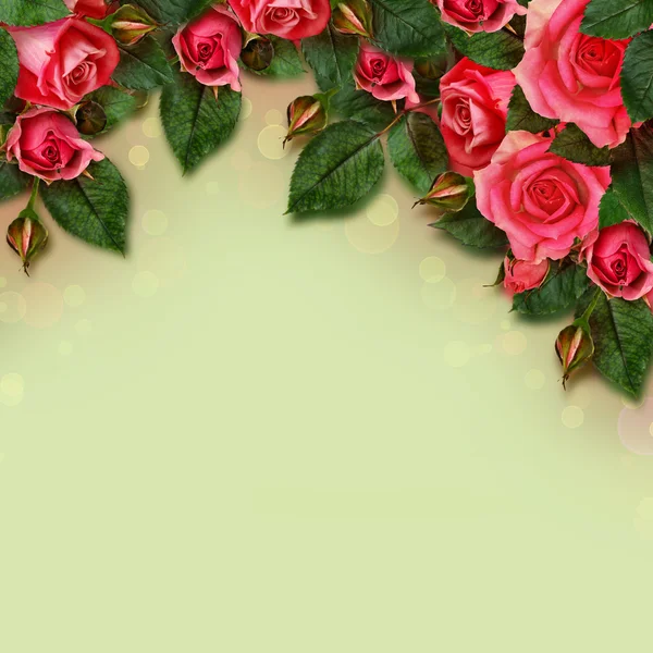 Rood roze bloemen regeling — Stockfoto