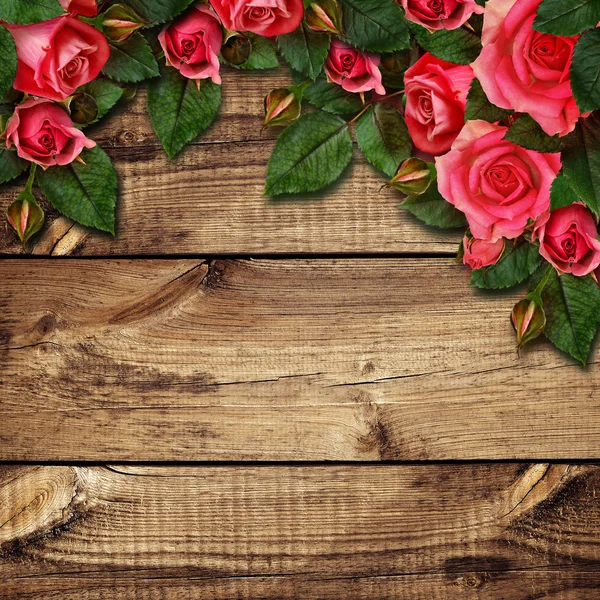 लाल गुलाब फुलांची व्यवस्था — स्टॉक फोटो, इमेज