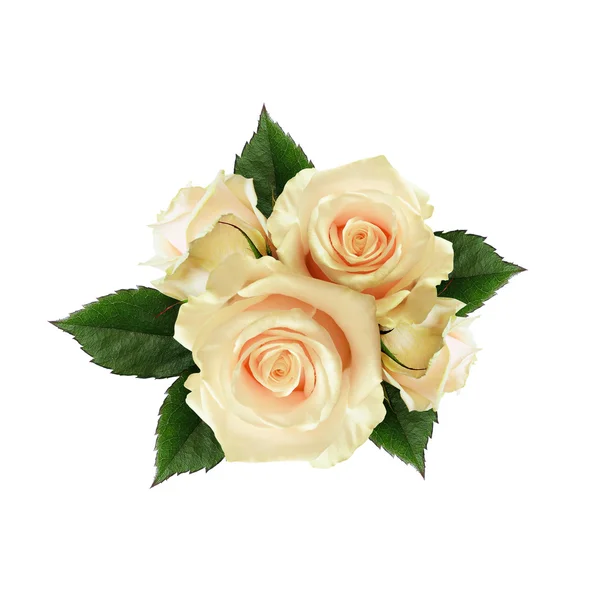 Rose flowers arrangement — Stock Photo, Image