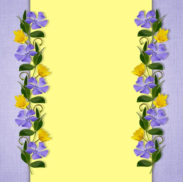 Fondo amarillo y azul con flores silvestres — Foto de Stock