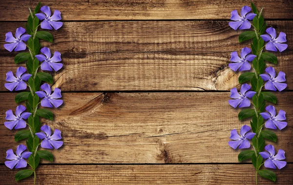 Flores de periwinkle en madera —  Fotos de Stock