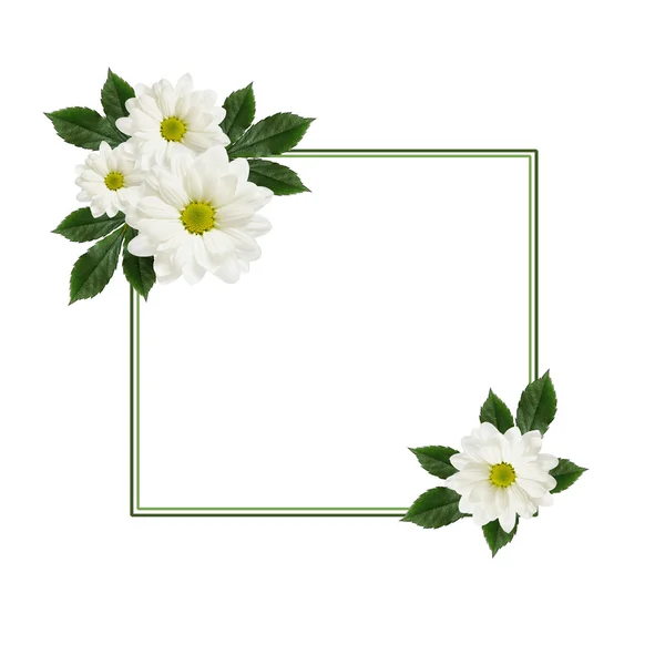 Daisy flowers  arrangement and a frame — Stock Photo, Image