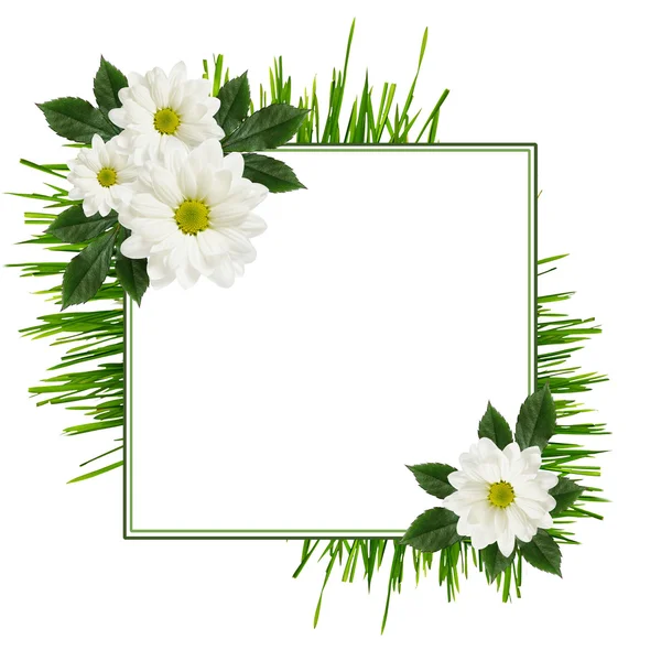 Daisy blommor arrangemang och en ram — Stockfoto