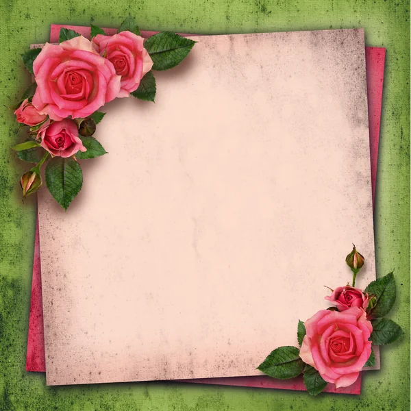 Розовые цветы на винтажном фоне — стоковое фото