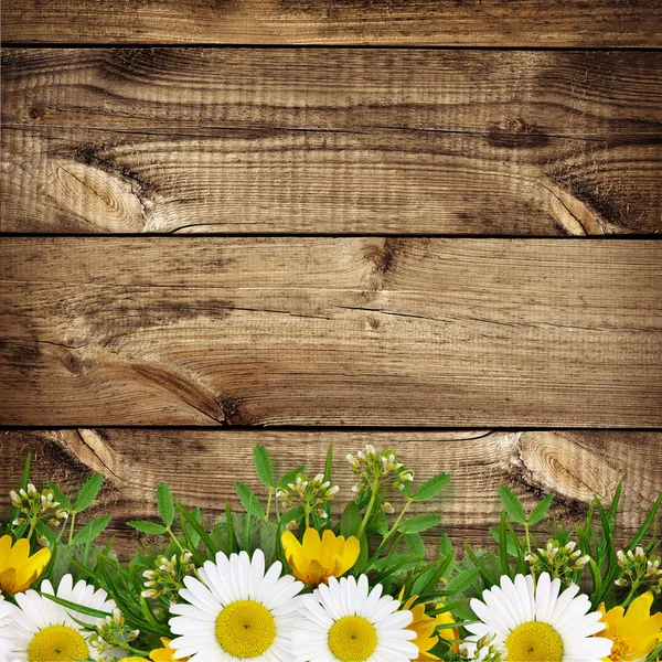 Sommer Wildblumen Rand — Stockfoto