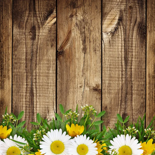 Letní kytice hrana — Stock fotografie
