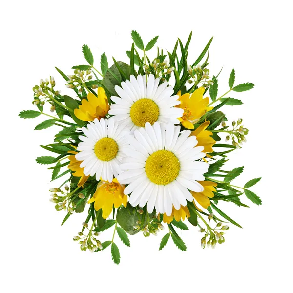 Wild flowers arrangement — Stock Photo, Image