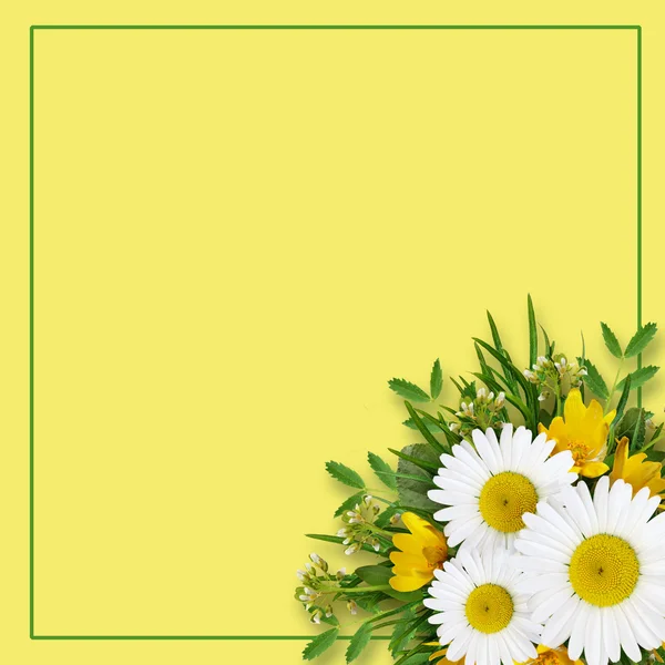 Yabani çiçek düzenlemesi ve çerçeve — Stok fotoğraf