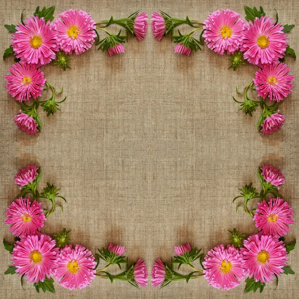 Aster Flowers Frame Canvas Background Flat Lay Top View — Stock Photo, Image