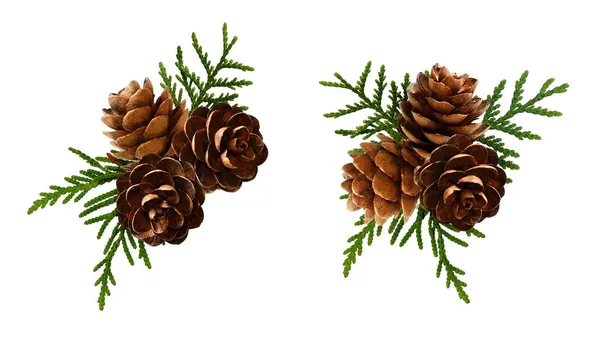 Set Weihnachtsgestecke Mit Zapfen Und Immergrünen Zweigen Flach Lag Ansicht — Stockfoto