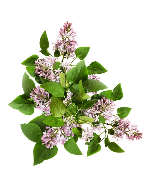 Lilac Flowers Leaves Corner Arrangement Isolated White Background Flat Lay — Stock Photo, Image