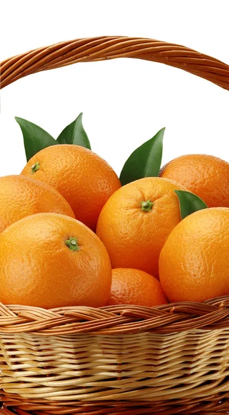 Basket oranges — Stock Photo, Image