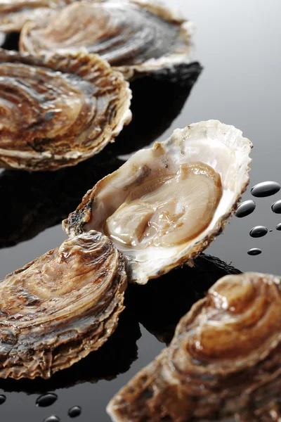 Oysters — Stock Photo, Image