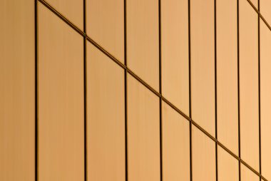 Altın doğrusal model