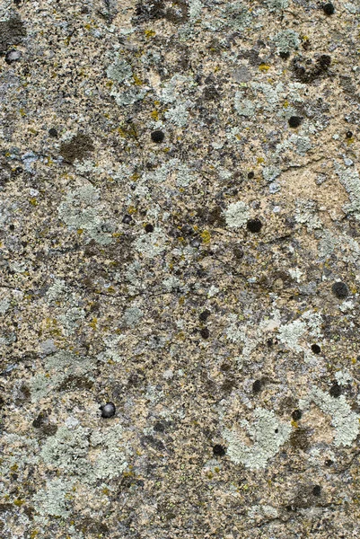 Doğal taş yüzey — Stok fotoğraf